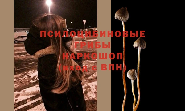 a pvp Балахна